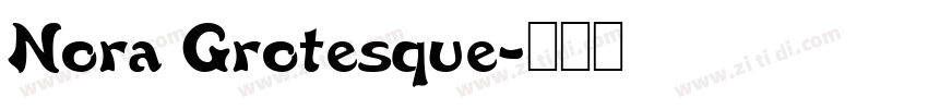 Nora Grotesque字体转换